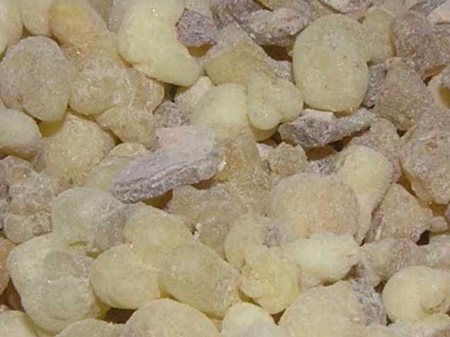 Frankincense Tree Resin Incense - 40g Bag - top quality wiccan pagan herbs